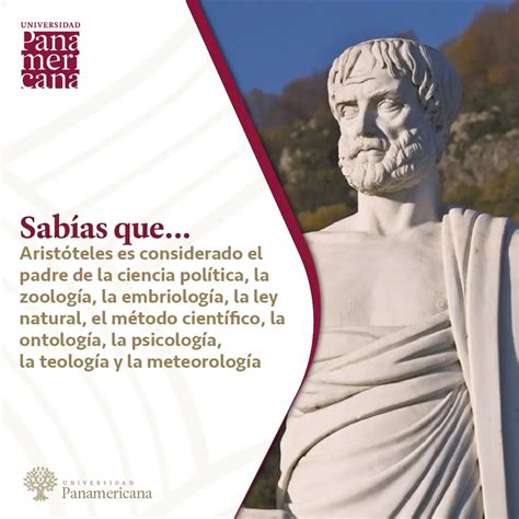 Aristóteles Padre De La Psicología Colegio De Psicólogos Sj