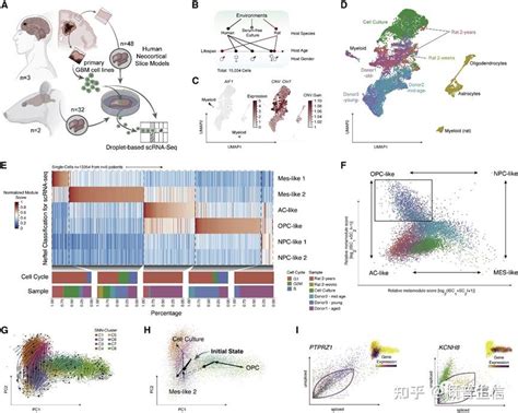 Sci案例分享胶质母细胞瘤空间多组学解析肿瘤微环境 知乎