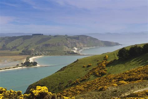 Top Dunedin Activities for Luxury Travel - The Otago Peninsula Experience