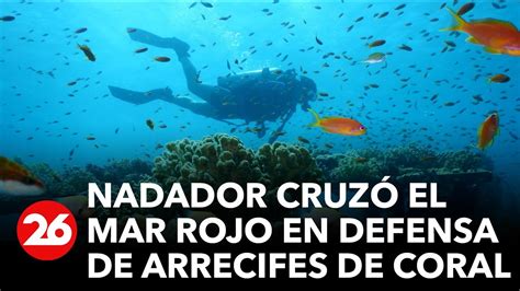 Nadador Británico Cruzó El Mar Rojo En Defensa De Arrecifes De Coral