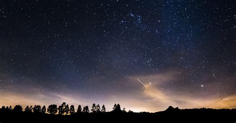 Silhouettes Of Trees Under Starry Sky · Free Stock Photo