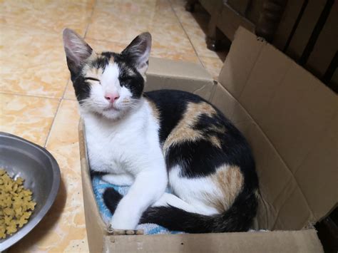 The tiny humansville secret that tourists are finally discovering 1