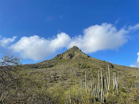 Sportief Beklim De Christoffelberg Op Cura Ao Cura Aogids