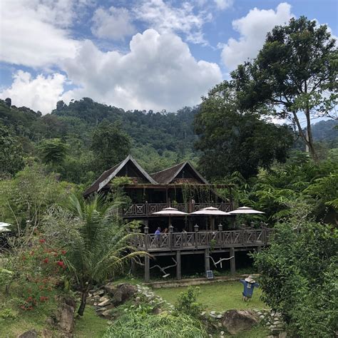 Janda Baik Retreat: A Guide to the Best Nature Escapes in Malaysia