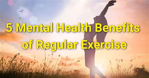 5 Benefits Of Regular Exercise For Mental Wellness Solo Martial Arts