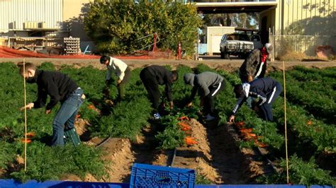 75th Annual Holtville Carrot Festival Kickoff - KYMA