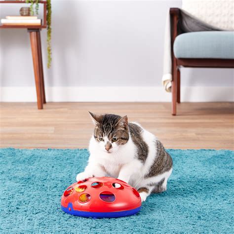 KONG Glide 'N Seek Cat Toy - Chewy.com