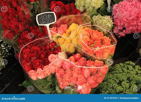 Roses at a market stock image. Image of retail, provence - 41787329