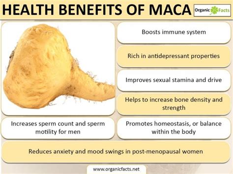 10 Amazing Maca Root Benefits Nutrition Organic Facts