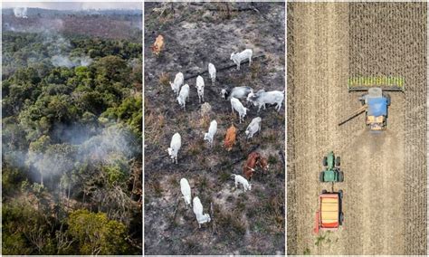 Agro vai desmatar 1 milhão de hectares por ano na Amazônia para atender