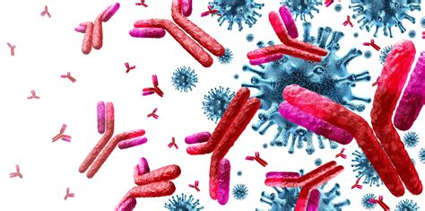 antigen  antibody whats  difference