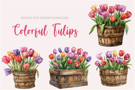 Watercolor Tulips Clipart Spring Flowers Graphic By Sasikharn