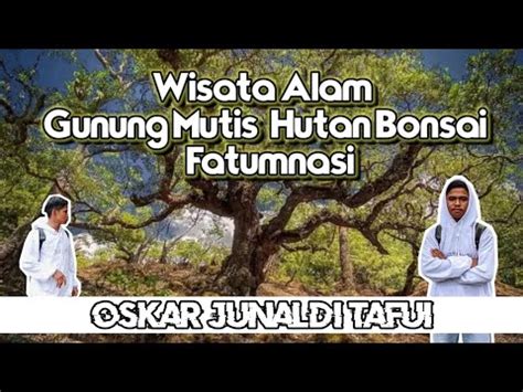 Pesona Alam Gunung Mutis Hutan Bonsai Mutis Fatumnasi Youtube