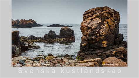 Fotokonst Natur Sk Rg Rd En Bakgrundsbild Fr N Hovs Hallar I Sk Ne