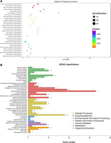 Comparative Tandem Mass Tag Based Quantitative Proteomics Analysis Of