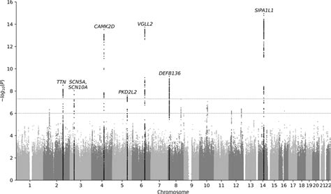 Manhattan Plot Association Tests N34432 Were Adjusted For Age Download Scientific Diagram