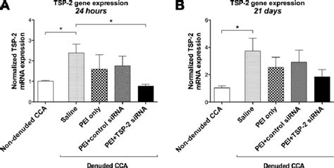 Relative Gene Expression Of TSP 2 Fold Change In TSP 2 MRNA Expression