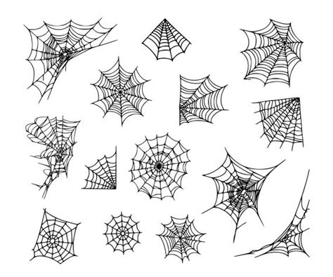 Spider Web Tattoo Vector (EPS, SVG) | OnlyGFX.com