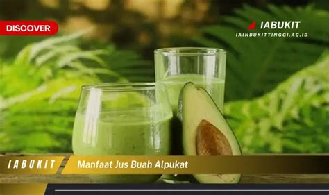 Temukan 7 Manfaat Jus Buah Alpukat Yang Jarang Diketahui