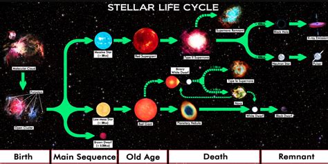 Star Life Cycle - VISTA HEIGHTS EARTH SCIENCE