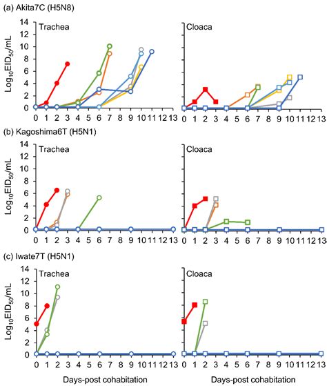 Viruses Free Full Text Different Infectivity And Transmissibility Of H5n8 And H5n1 High