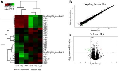 Different Transcriptional Profiles Of Human Embryonic Stem Cells Grown