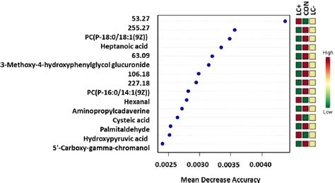 Figure From The Metabolomic Detection Of Lung Cancer Biomarkers In