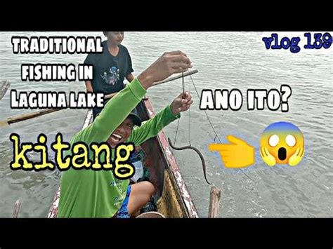 KITANG TRADITIONAL FISHING IN LAGUNA LAKE KITANG WORM BAIT TALIM PH