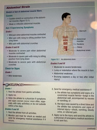 M13 Lower Body Injury Flashcards Quizlet