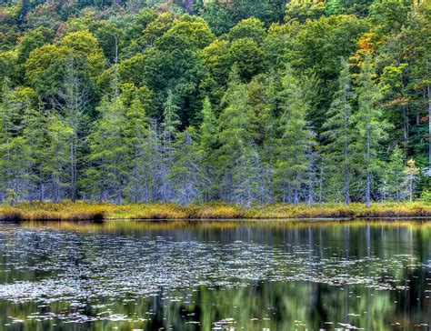 The West End Of Bald Mountain Pond Photograph By David Patterson Fine