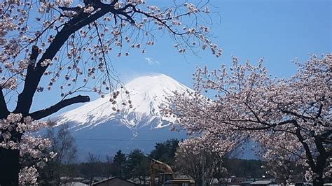photo cherry blossoms himel clouds spring cherry blossom