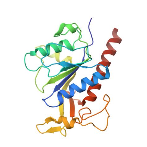 Rcsb Pdb Gq Crystal Structure Of C Helicase From Enterovirus