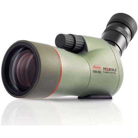 Five Spotting Scopes That Will Let You See Birds Better Birdwatching