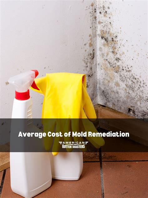 How Much Does Mold Remediation Cost Americanguttermasters