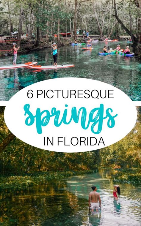 16 Best Springs In Florida Beautiful Natural Springs You Cant Miss