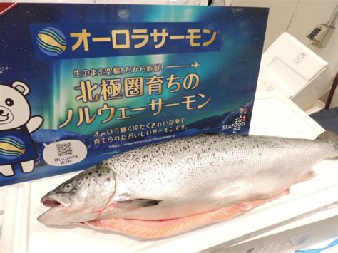 ノルウェーサーモンのイクラが日本で流行する日は来るか？【大漁！水産部長の魚トピックス】：時事ドットコム