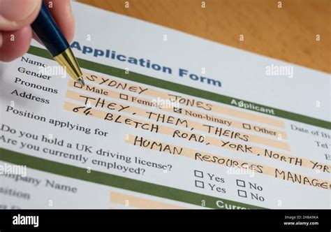 General Employment Application Template