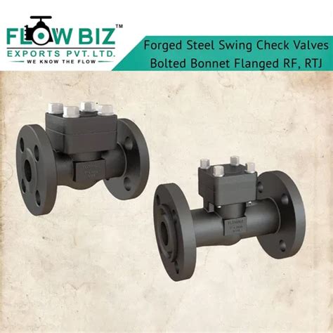 Forged Steel Swing Check Valve At Inr In Mumbai Flowbiz