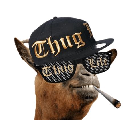 Thug Life Goat Png Transparent Image Download Size 900x800px