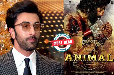 Must Read Enjoying The Ranbir Kapoor Starrer Animal Here Are 5 Times