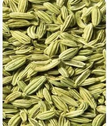 Fennel Seeds Wholesale Trader From Junagadh