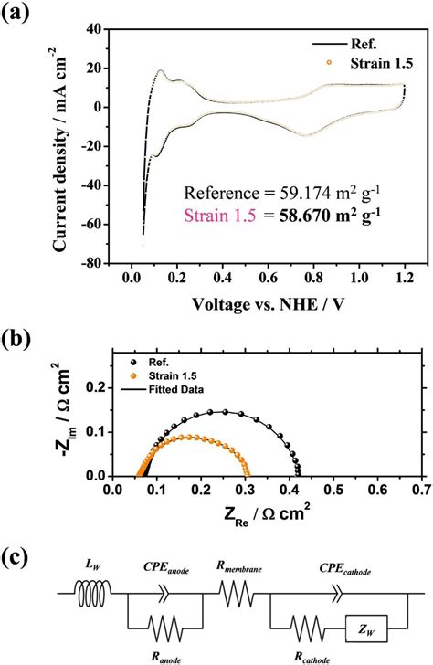 Electrochemical Analysis A Cyclic Voltammogram Cv Of The Cathode