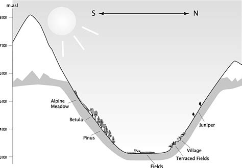 Cross Section Of The South And North Facing Slopes Of The Manang Valley Download Scientific