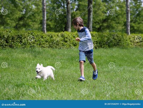 Niños jugando con perro imagen de archivo. Imagen de juego - 207254291