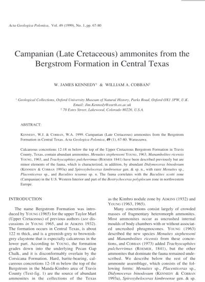 Campanian Late Cretaceous Ammonites From The Bergstrom Formation In