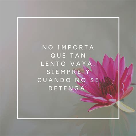 Frases Bonitas Cortas Y Para Fotos Todo Im Genes