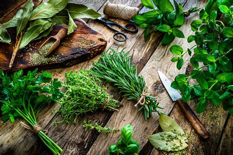 6217600 Herb Stock Photos Pictures And Royalty Free Images Istock