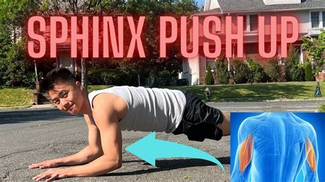 How To Sphinx Push Up Learn In Minute Youtube