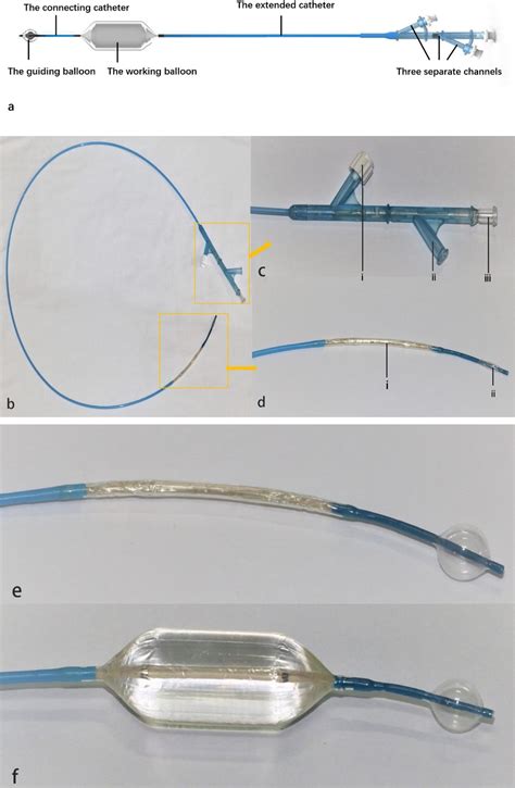 A Novel Double Balloon Catheter For Percutaneous Balloon Pulmonary