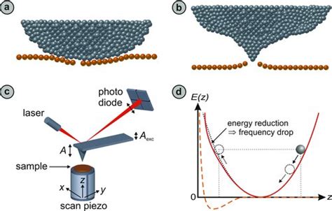 Afm Tip Profiling A Sample Surface In Contact Since The Tip Sample